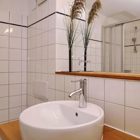 Papillon 03-3 博尔滕哈根